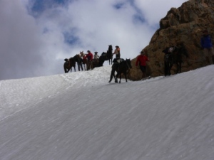 Abstieg durchs Schneefeld - Patagonien, Anden